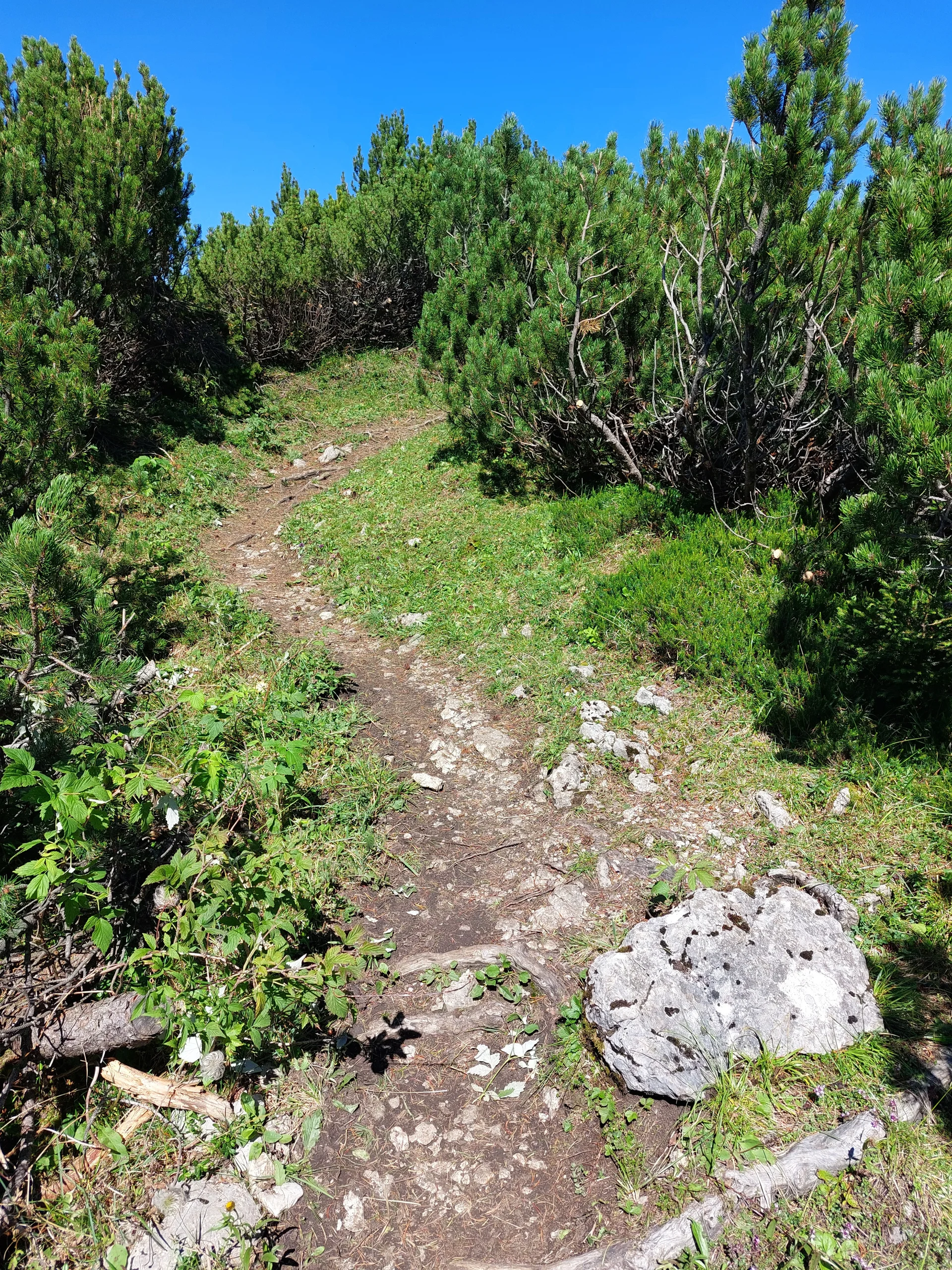 © Sektion Rosenheim DAV