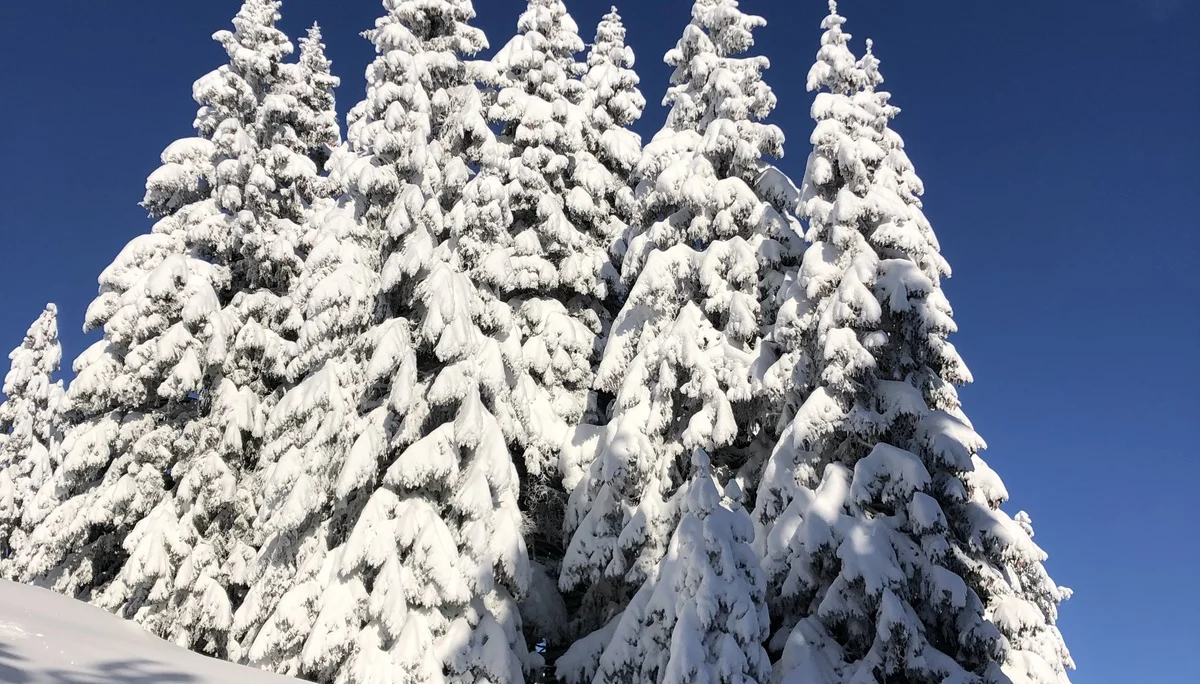 © Sektion Rosenheim DAV