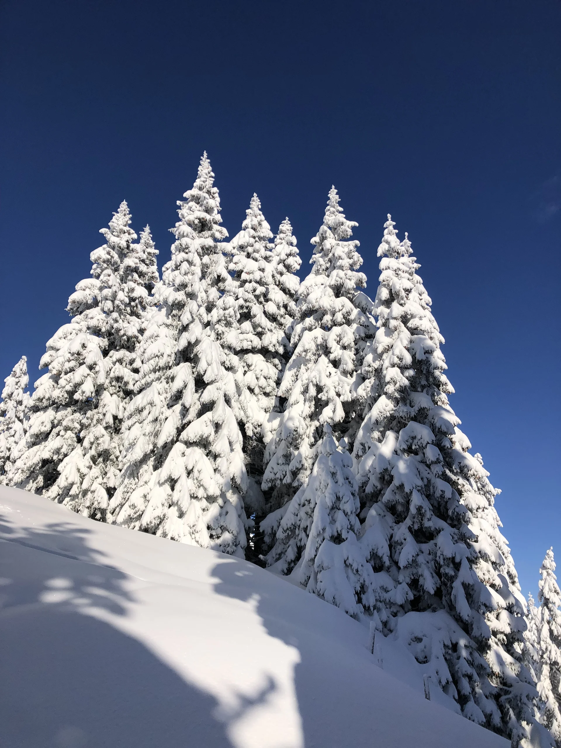 © Sektion Rosenheim DAV