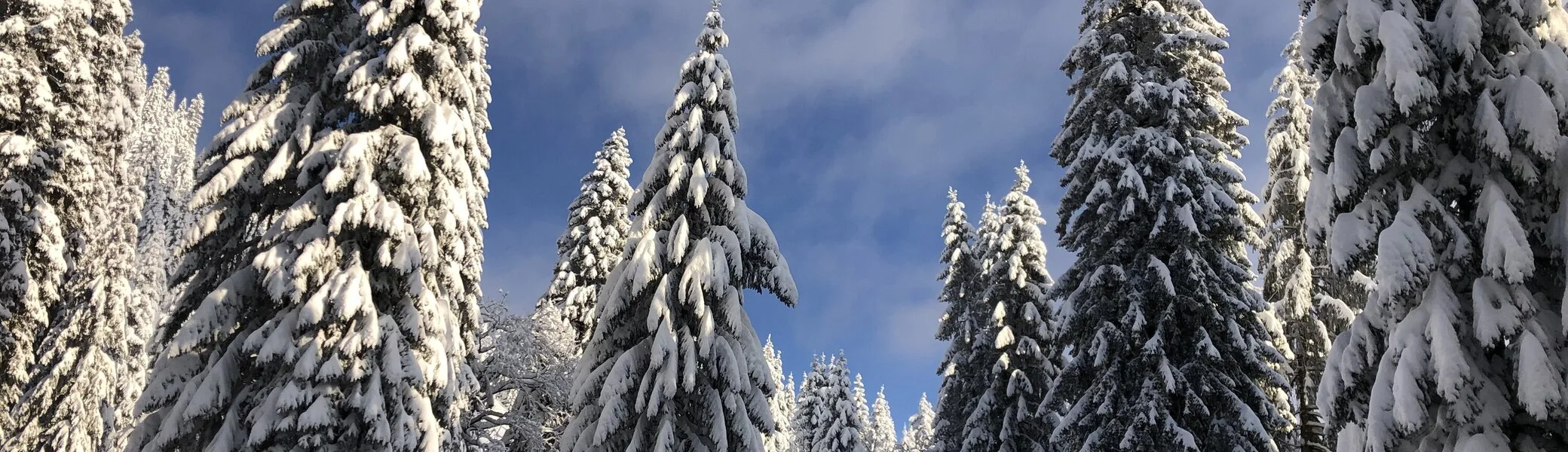 © Sektion Rosenheim DAV