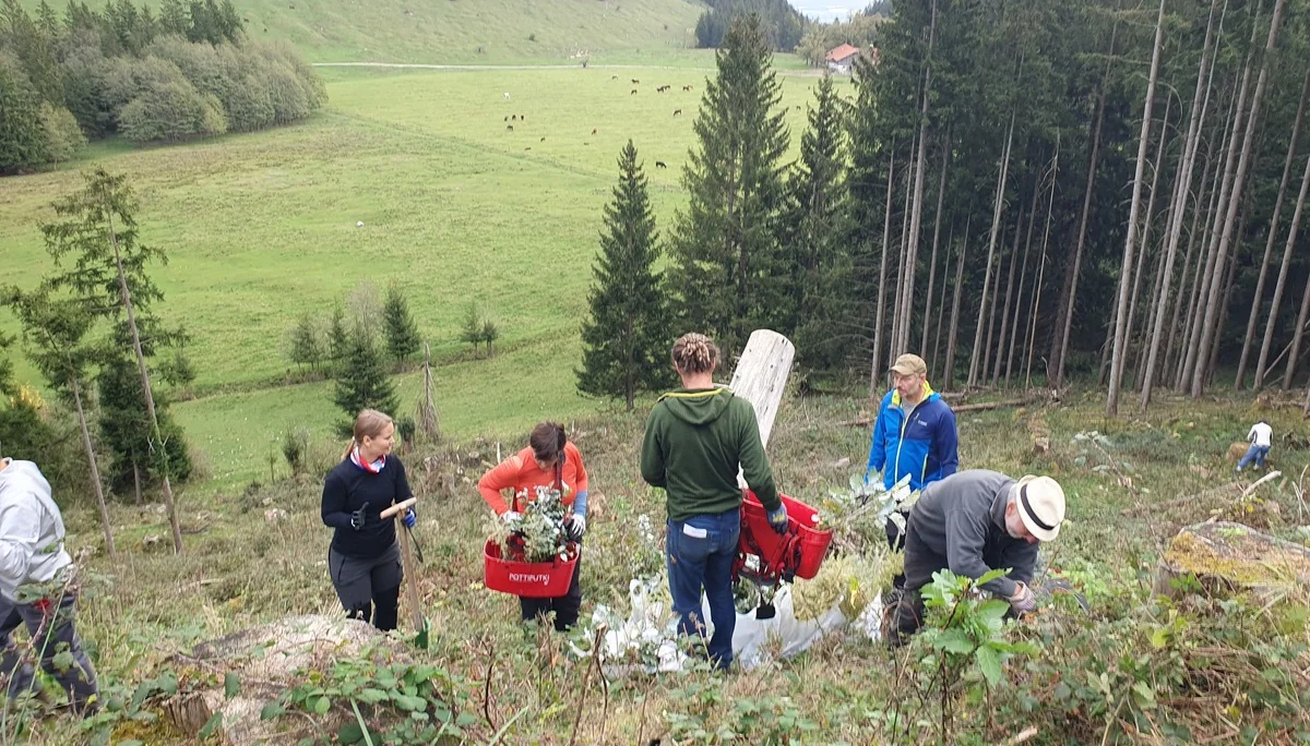 © Sektion Rosenheim DAV