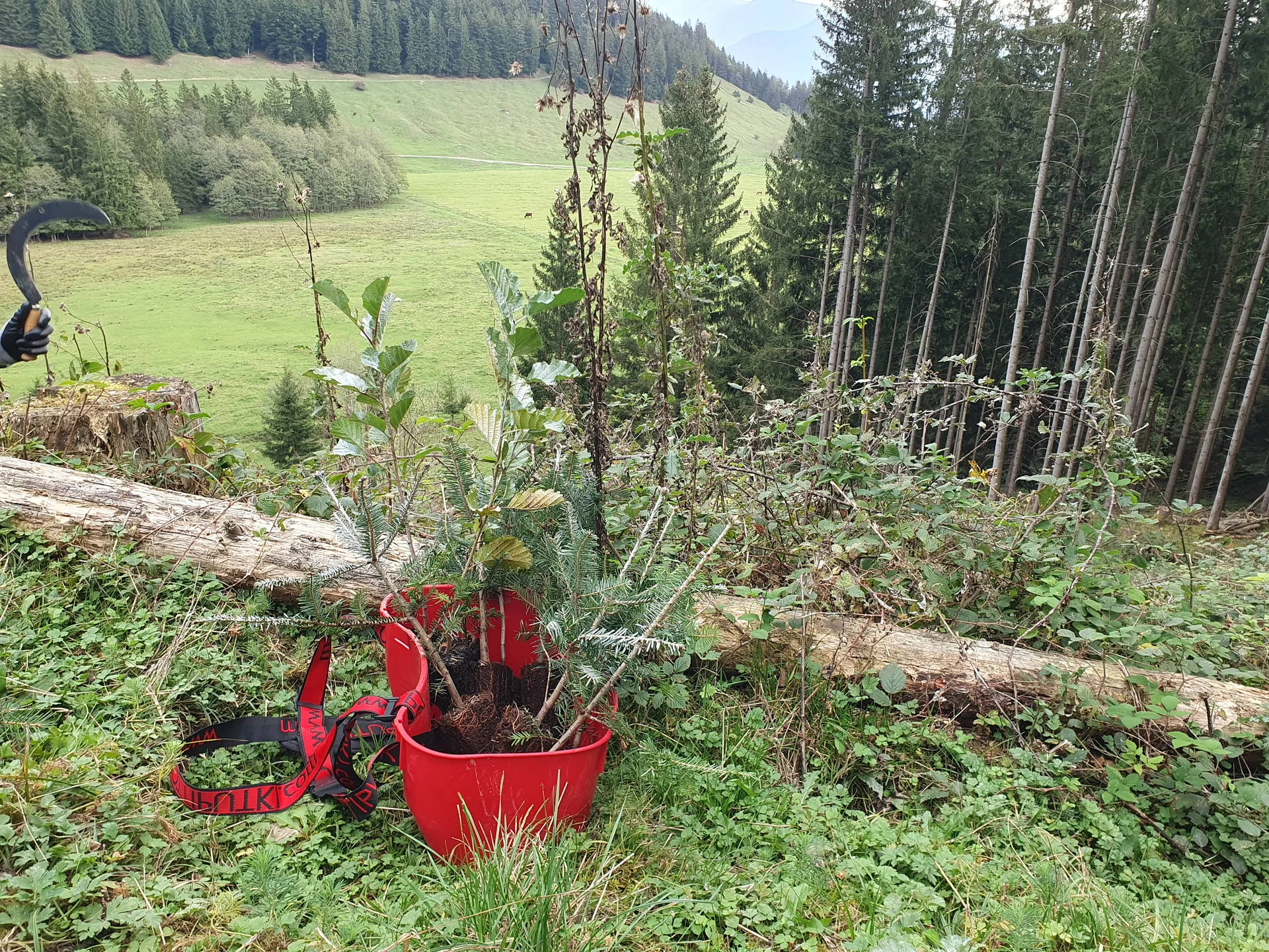 © Sektion Rosenheim DAV