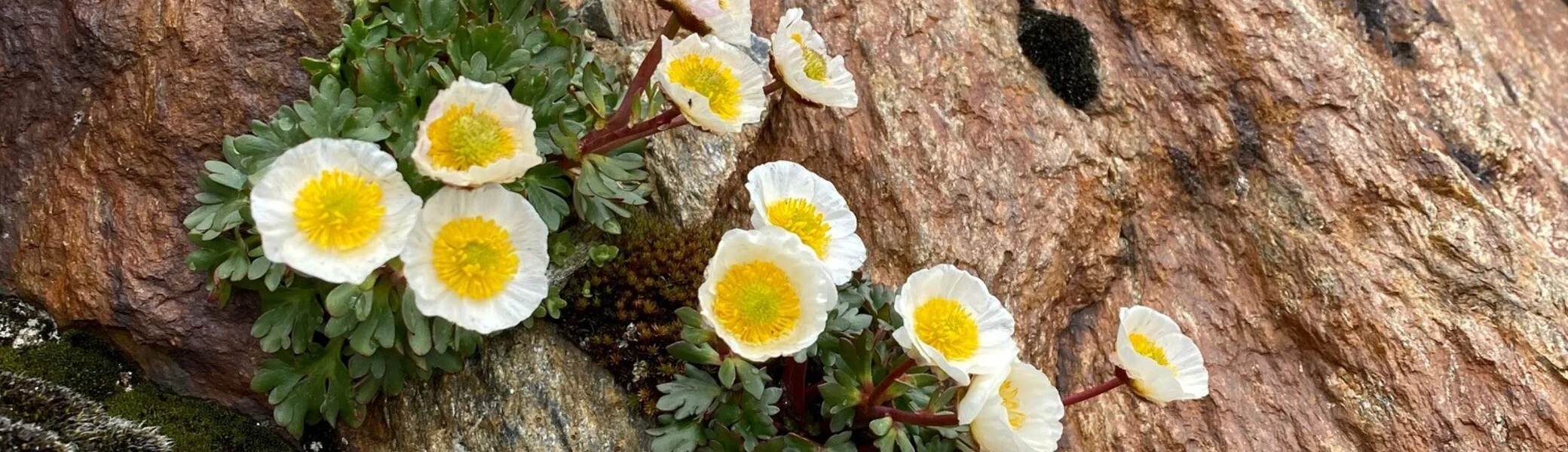 © DAV Sektion Rosenheim