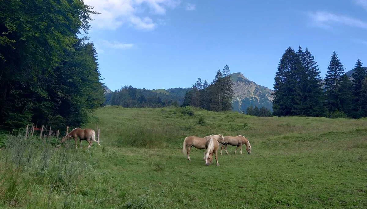 © DAV Sektion Rosenheim