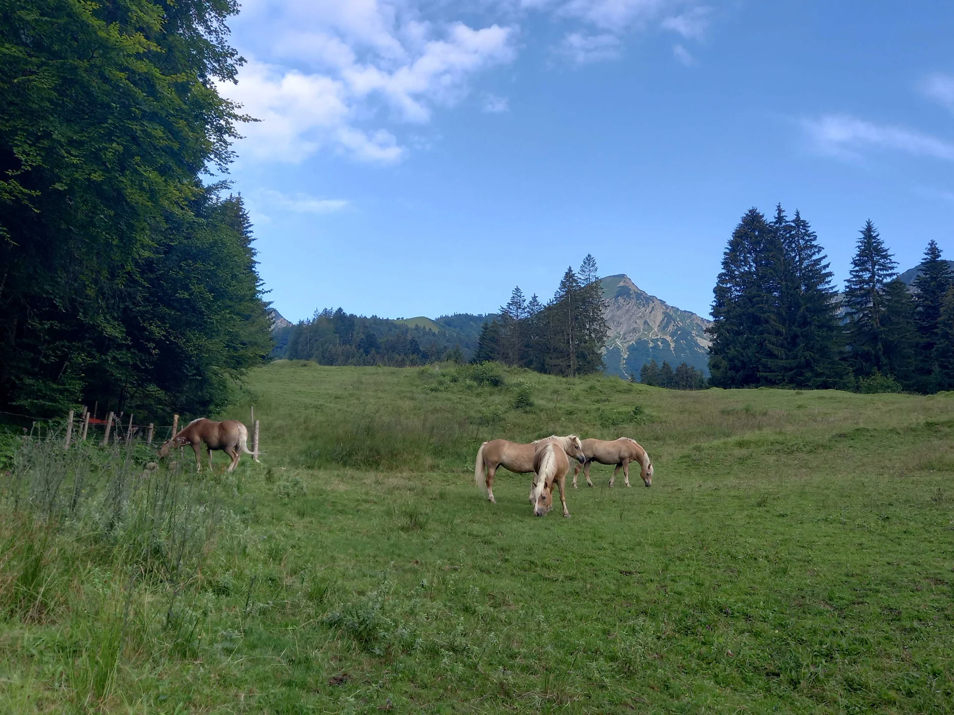 © DAV Sektion Rosenheim