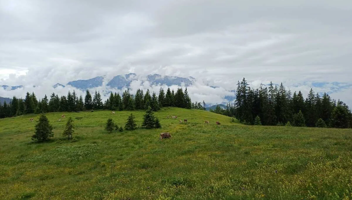 © DAV Sektion Rosenheim