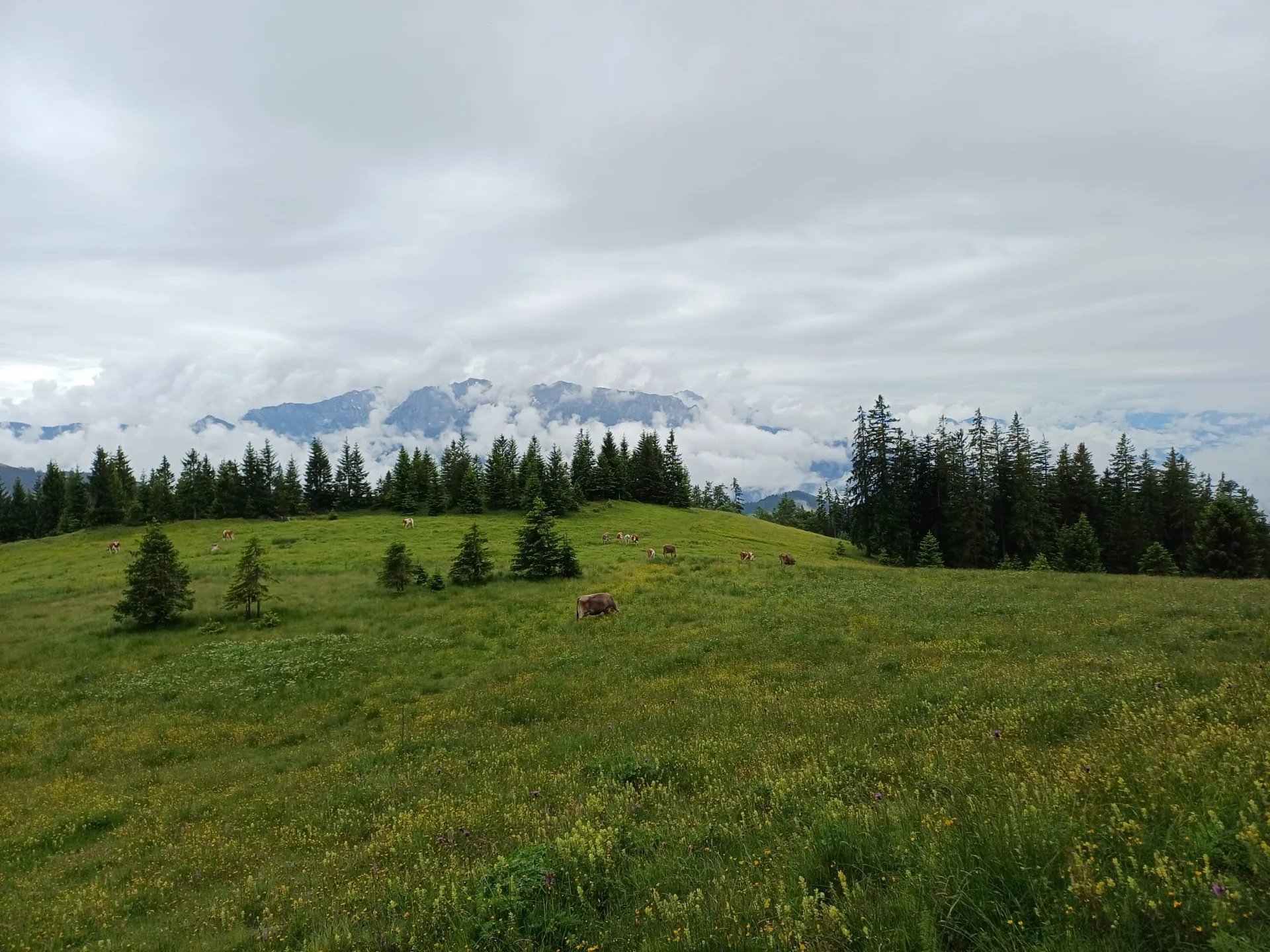 © DAV Sektion Rosenheim