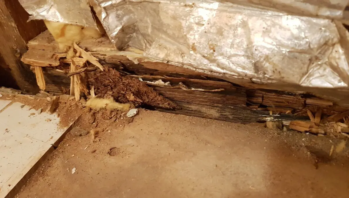 © DAV Sektion Rosenheim