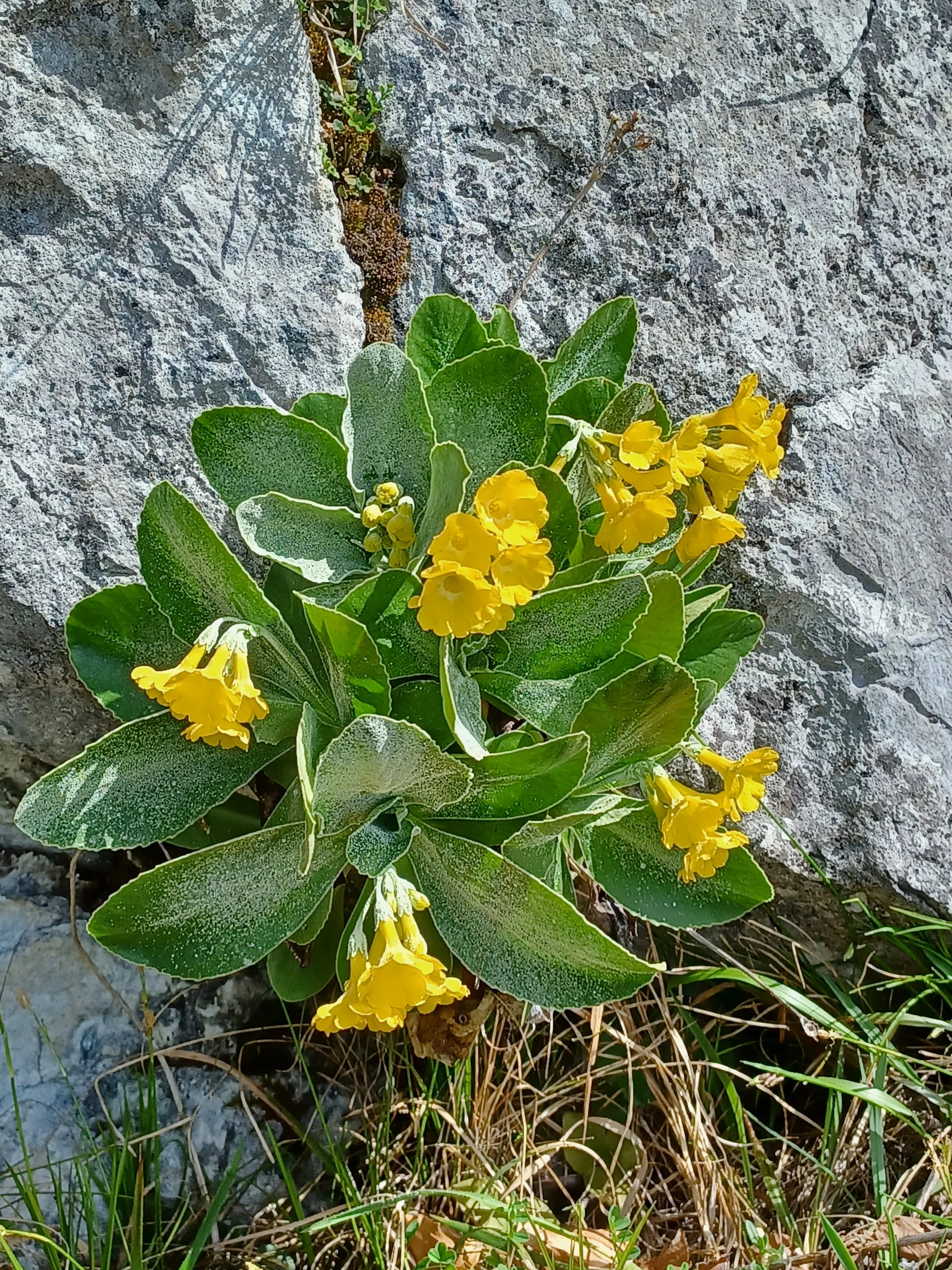 © DAV Sektion Rosenheim