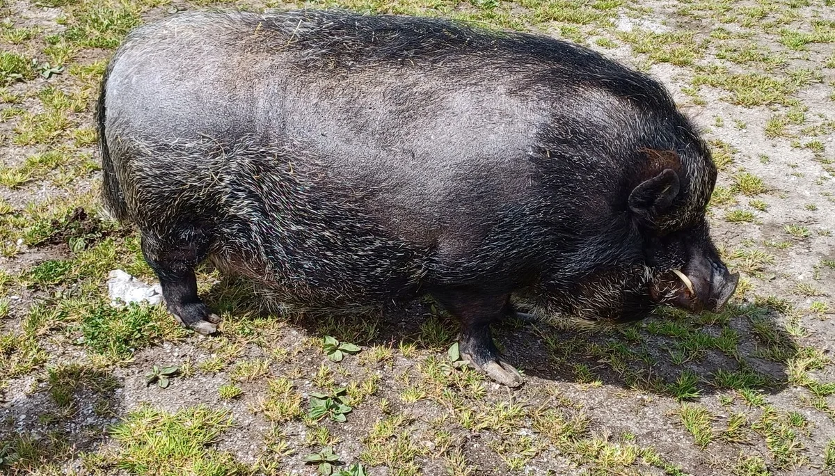 © DAV Sektion Rosenheim