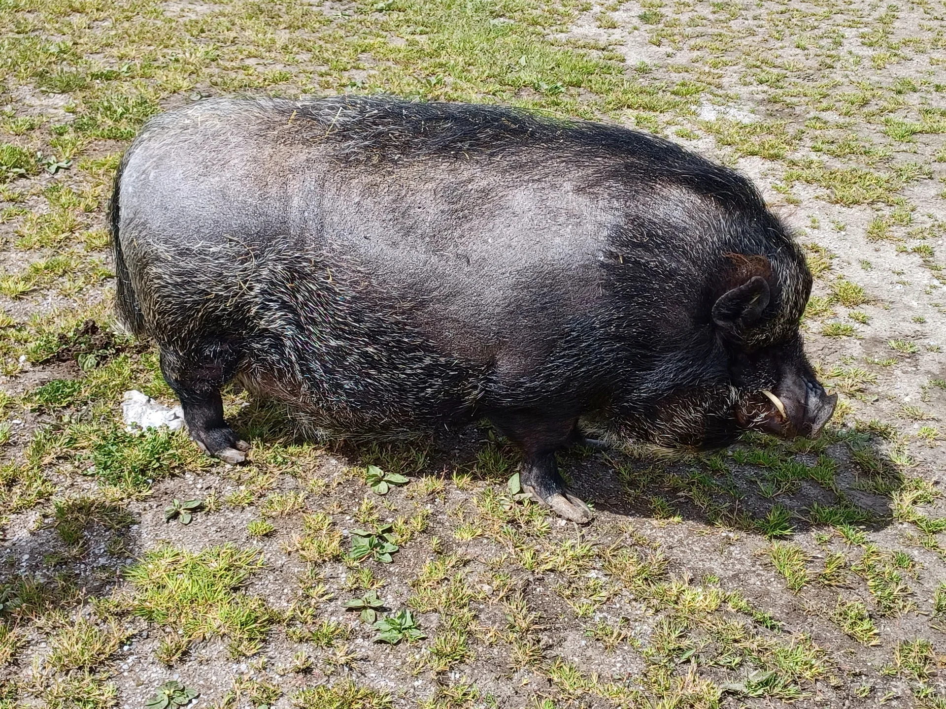 © DAV Sektion Rosenheim