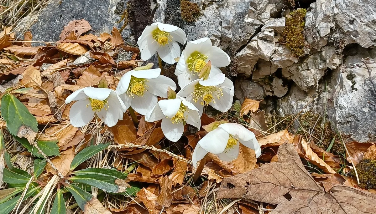 © DAV Sektion Rosenheim