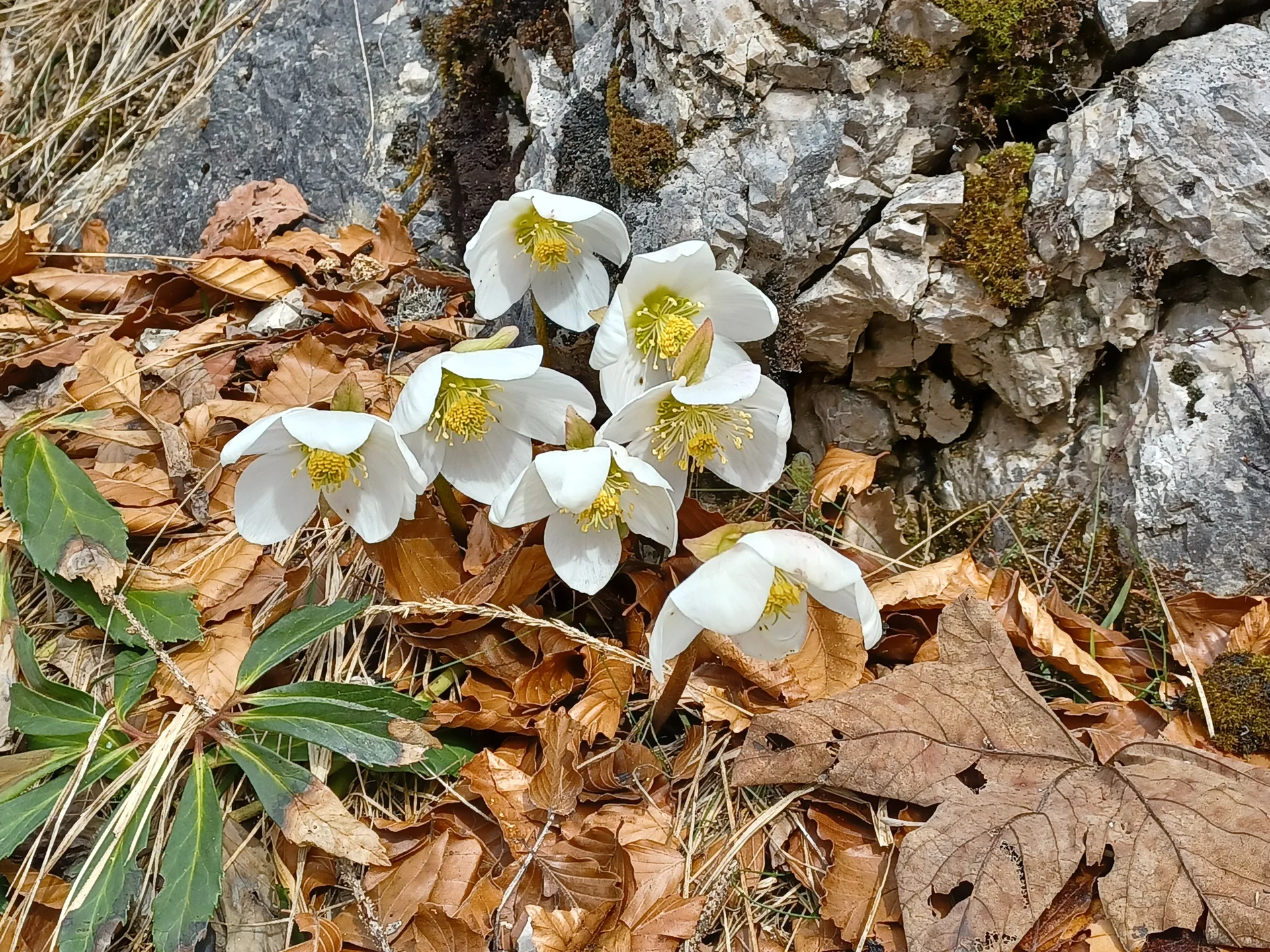 © DAV Sektion Rosenheim