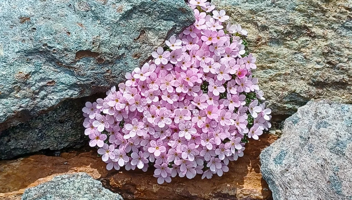 © DAV Sektion Rosenheim