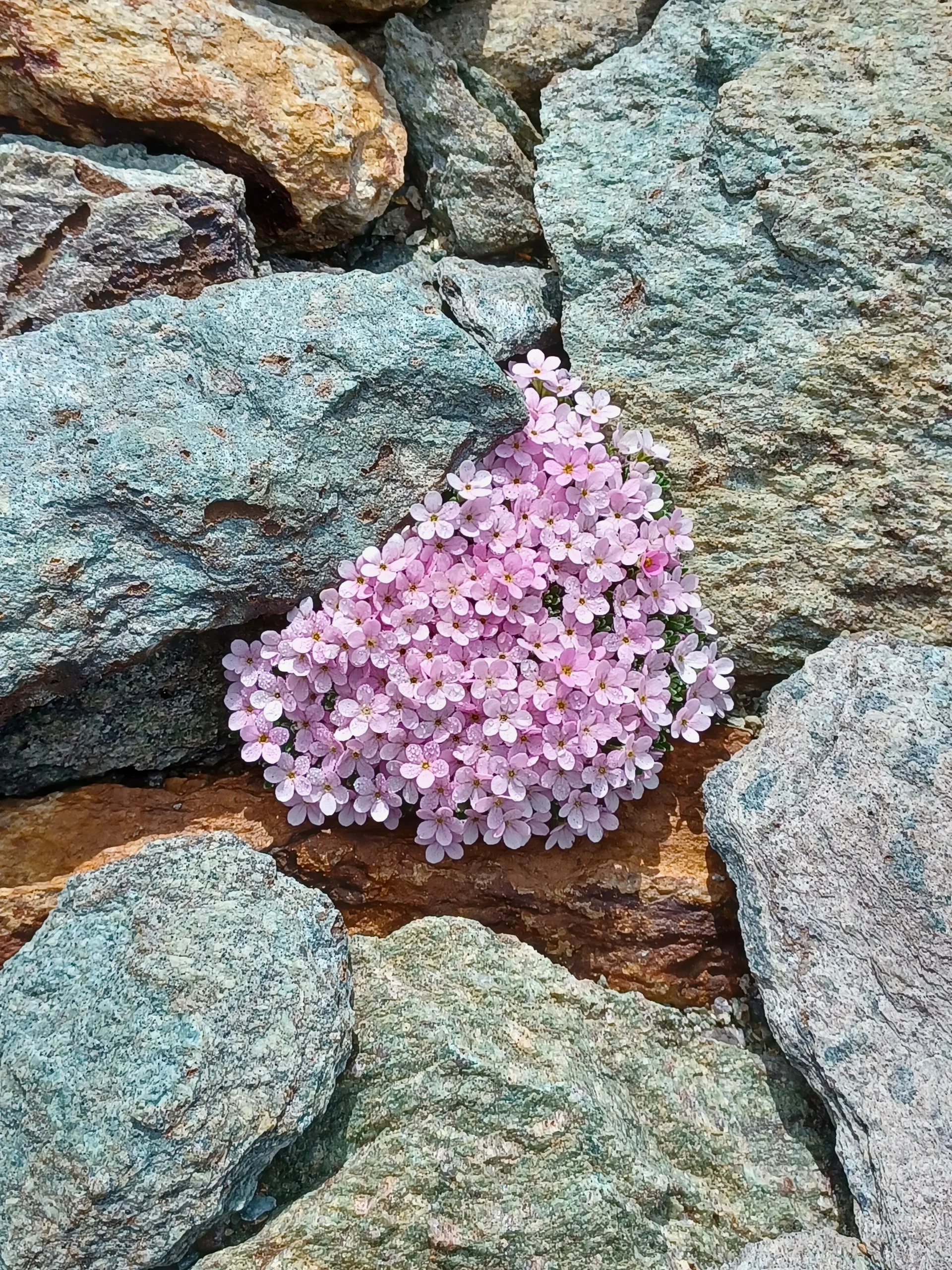 © DAV Sektion Rosenheim