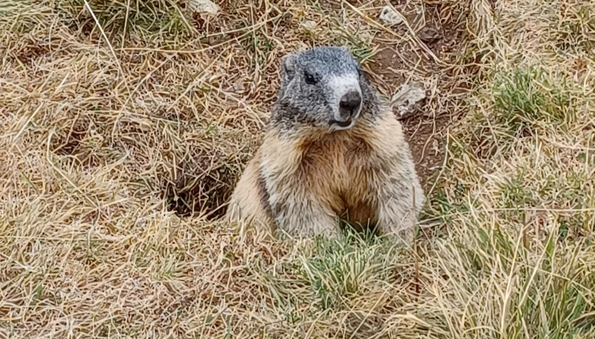 © DAV Sektion Rosenheim