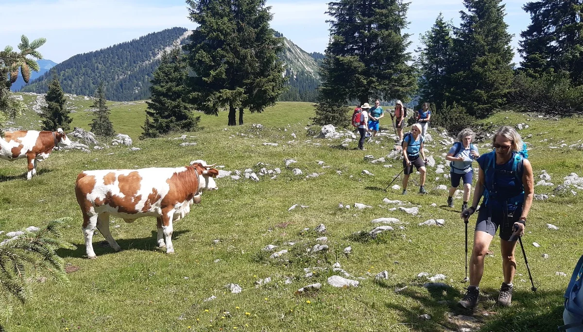 © DAV Sektion Rosenheim