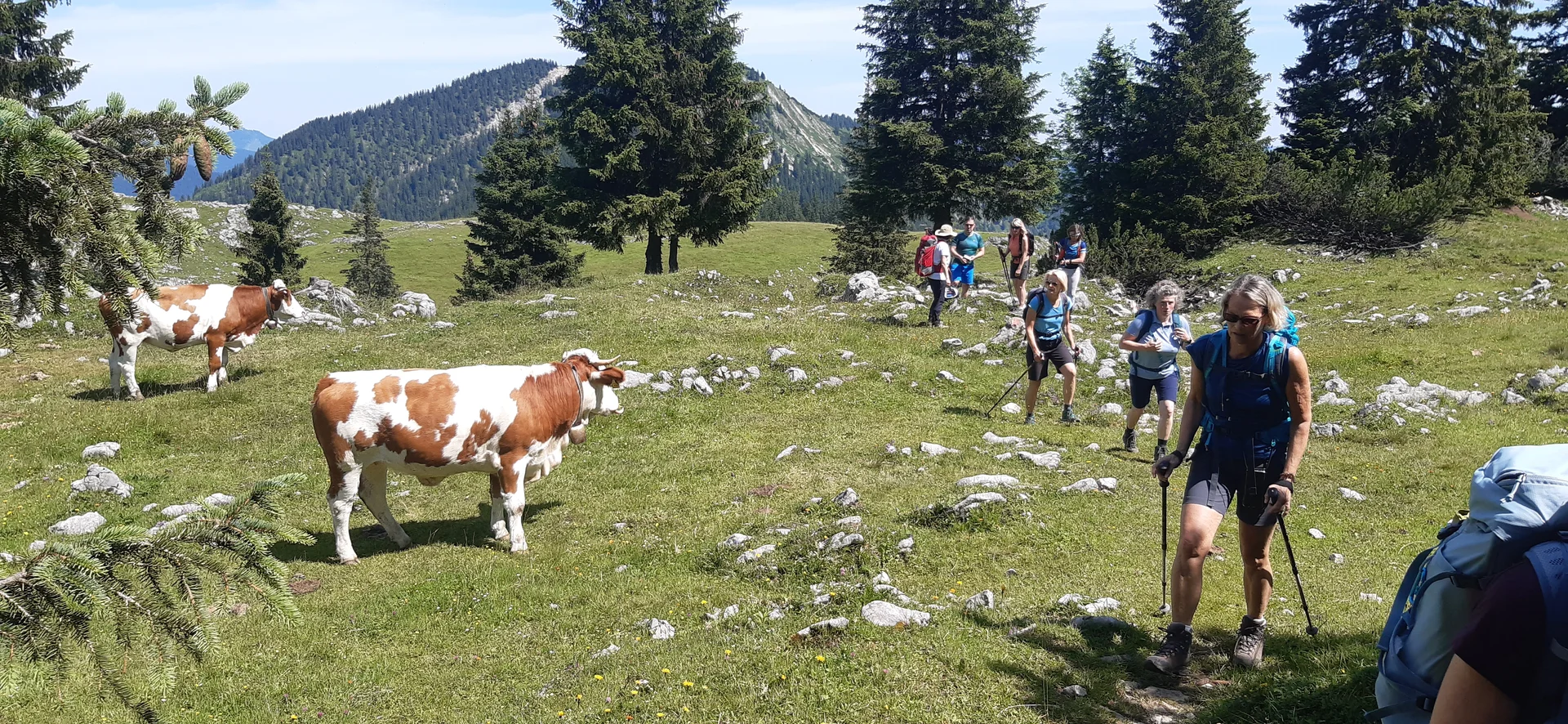 © DAV Sektion Rosenheim