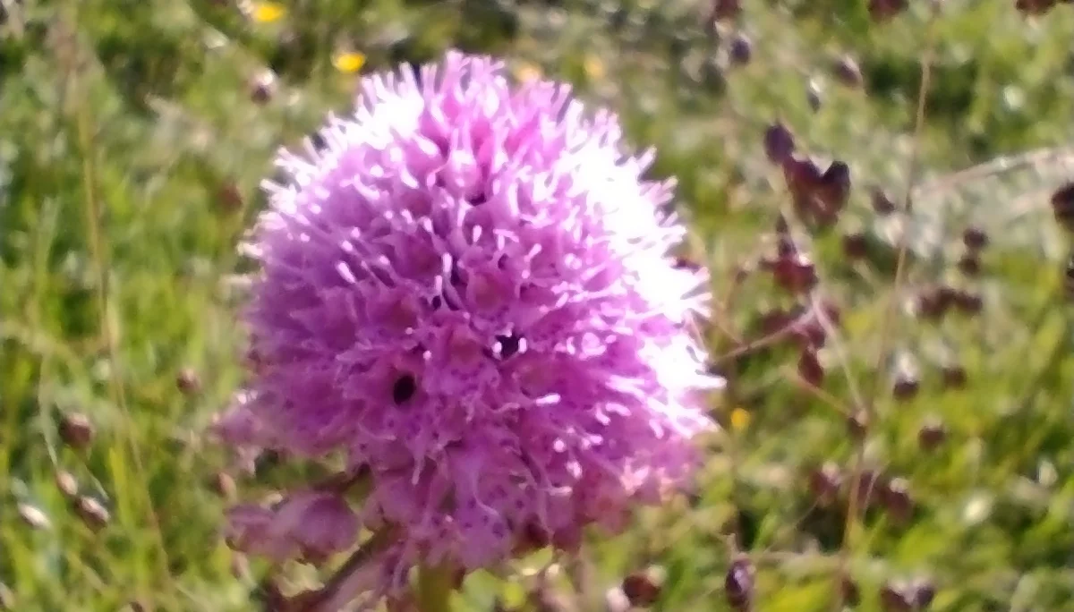 © DAV Sektion Rosenheim