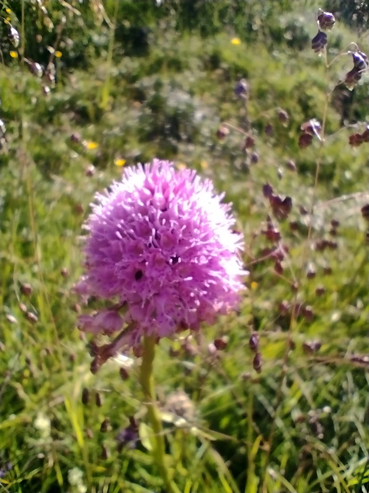 © DAV Sektion Rosenheim