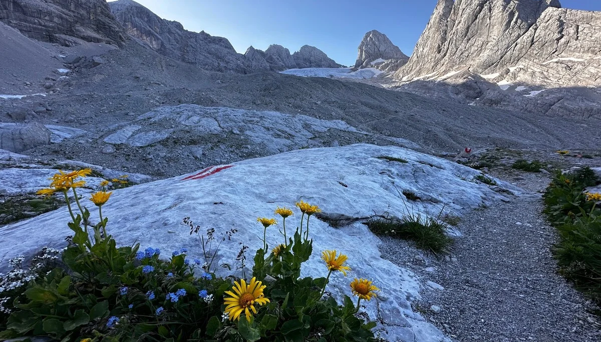 © DAV Sektion Rosenheim