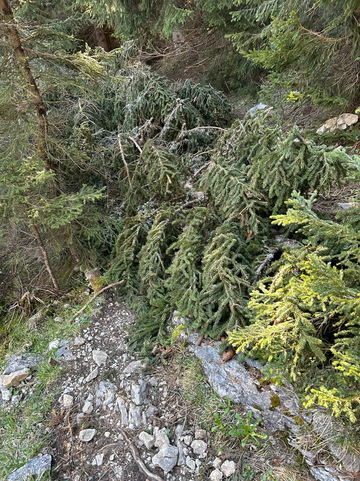 © DAV Sektion Rosenheim