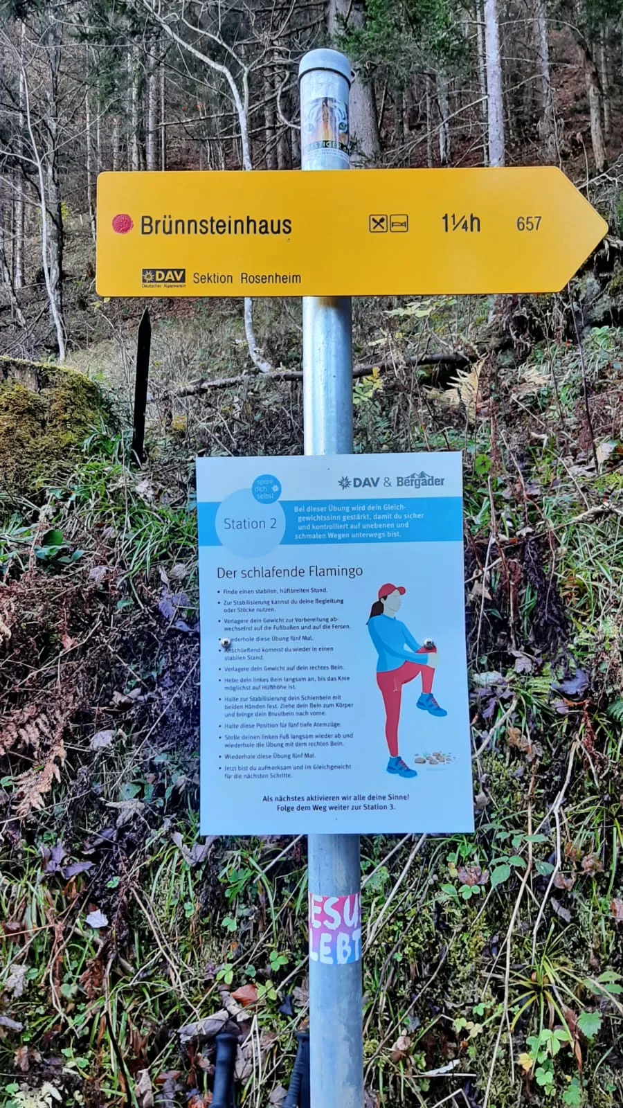 © DAV Sektion Rosenheim