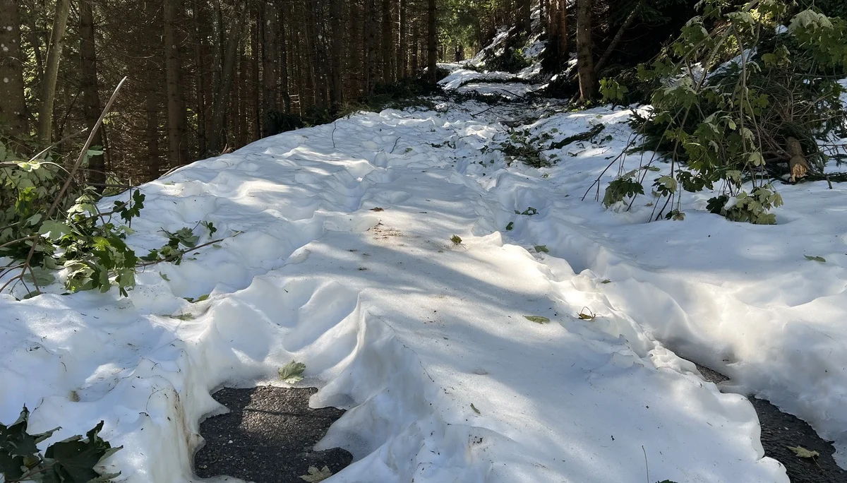 © DAV Sektion Rosenheim