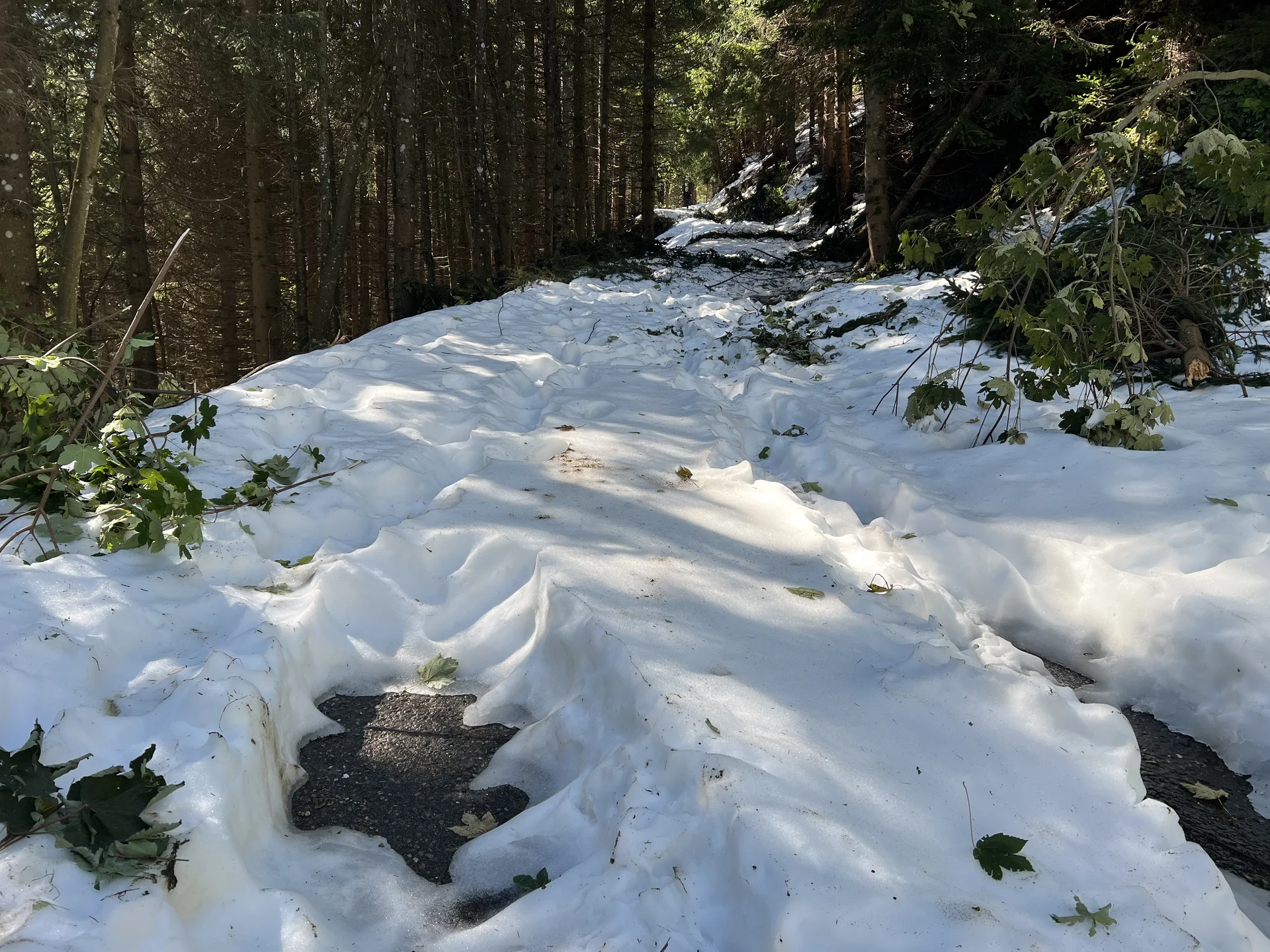 © DAV Sektion Rosenheim