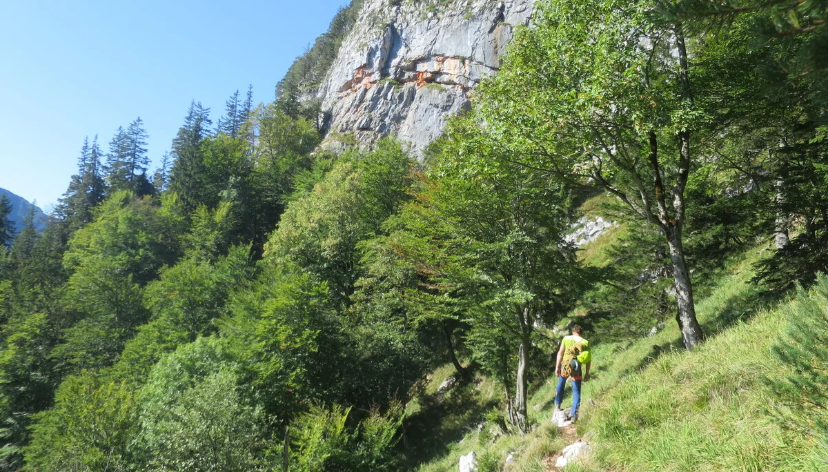 © Sektion Rosenheim - Harald Wettemann