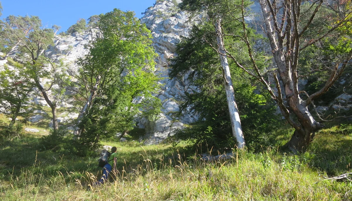 © Sektion Rosenheim - Harald Wettemann