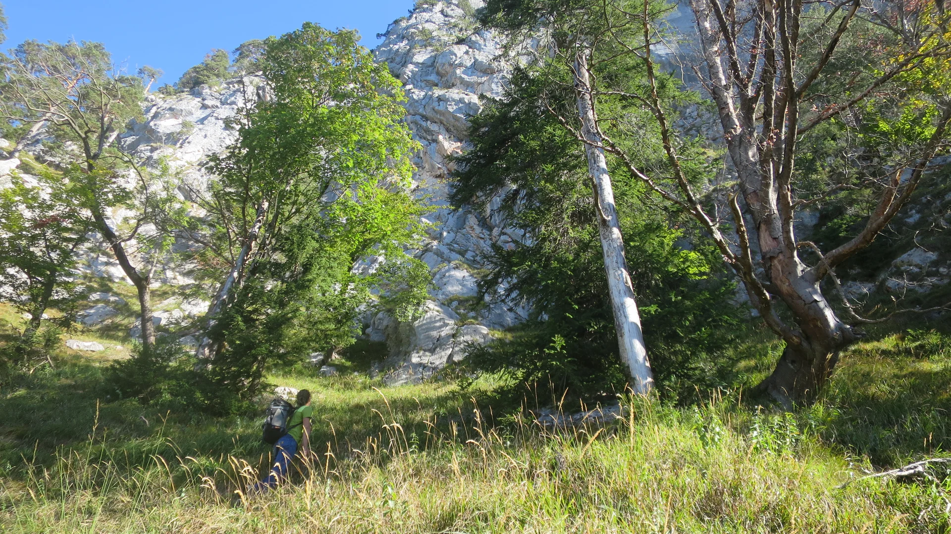 © Sektion Rosenheim - Harald Wettemann