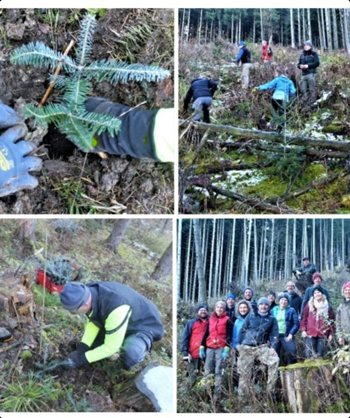 © DAV Sektion Rosenheim