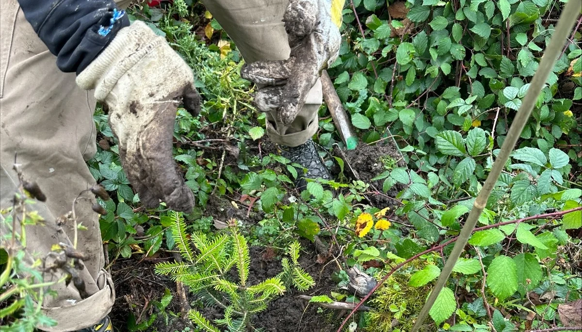 © DAV Sektion Rosenheim