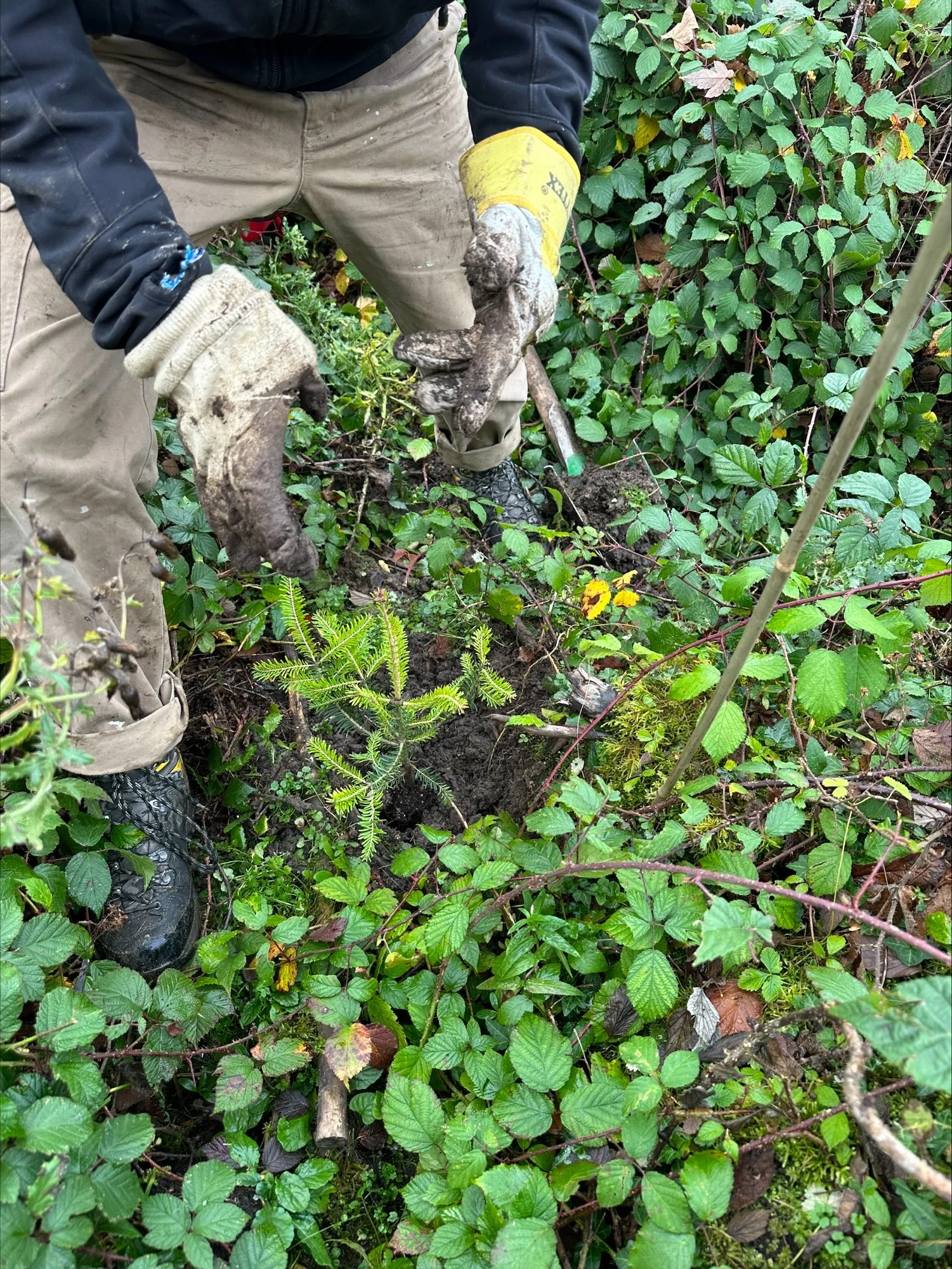 © DAV Sektion Rosenheim