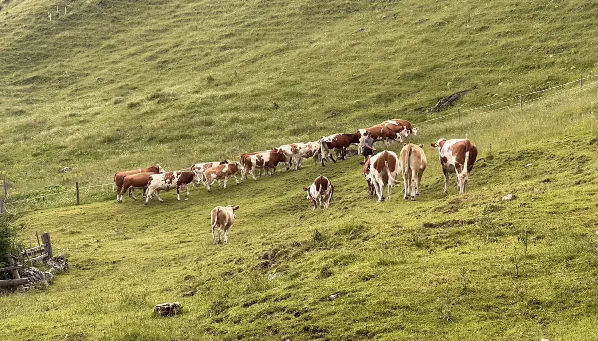 © DAV Sektion Rosenheim