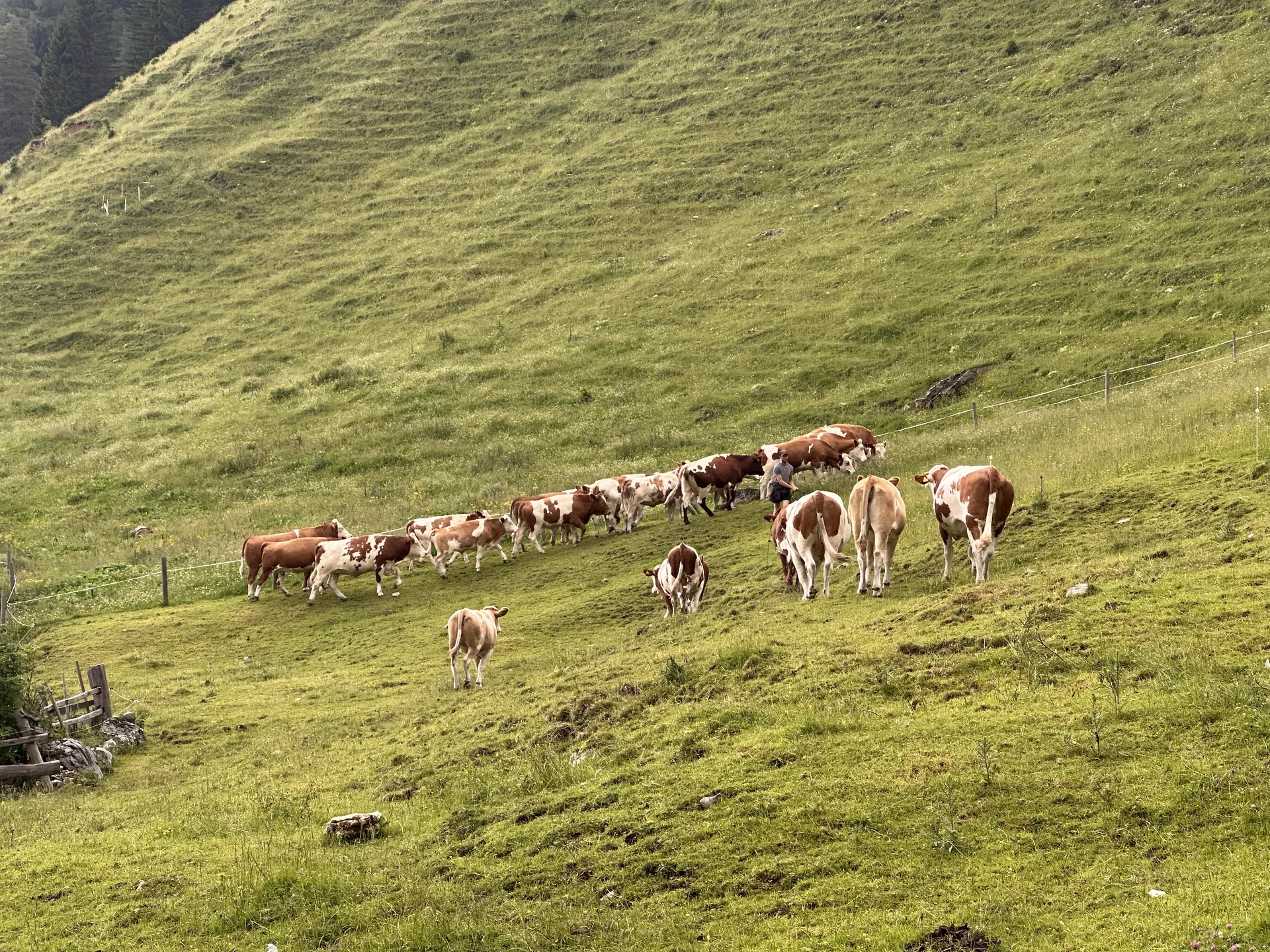 © DAV Sektion Rosenheim