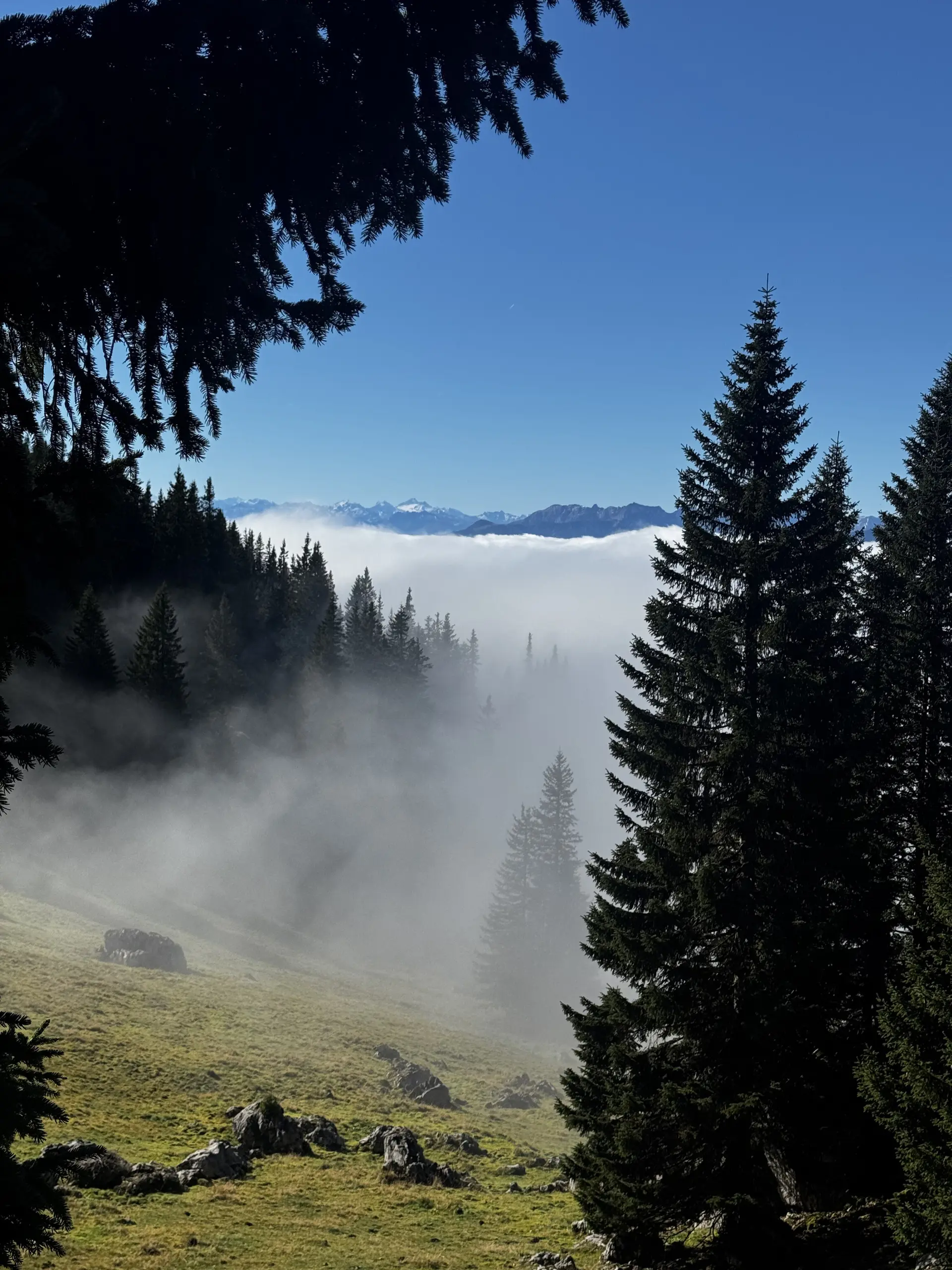 © DAV Sektion Rosenheim