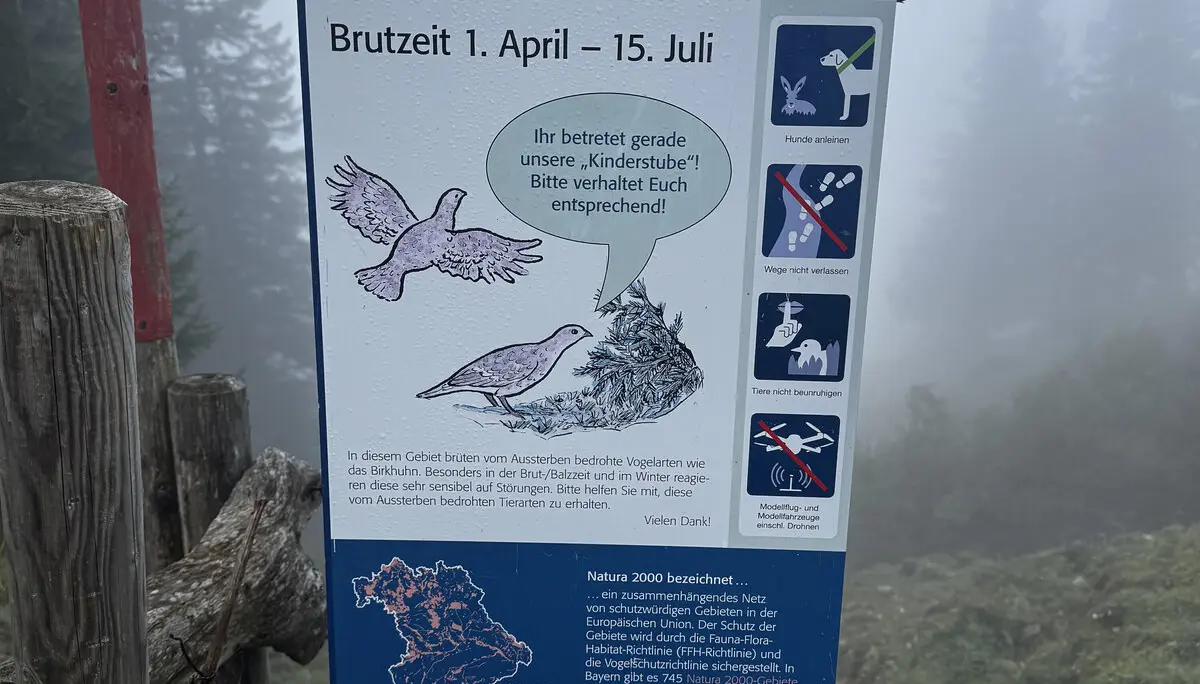 © DAV Sektion Rosenheim