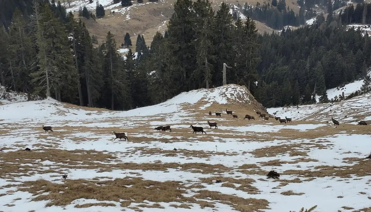 © DAV Sektion Rosenheim - Otto