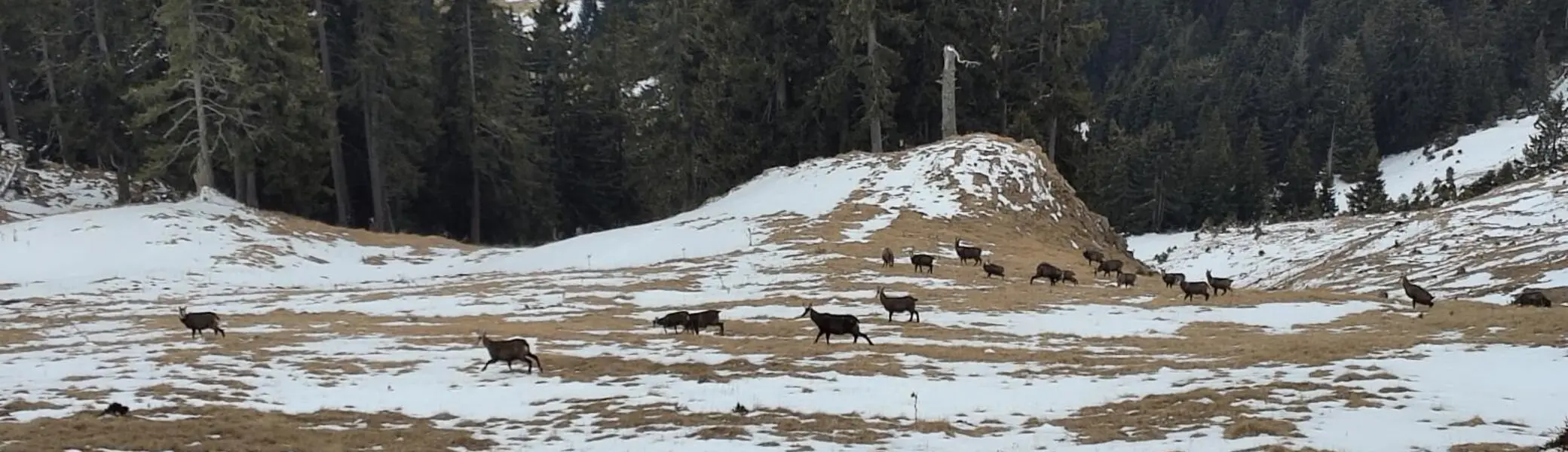 © DAV Sektion Rosenheim - Otto