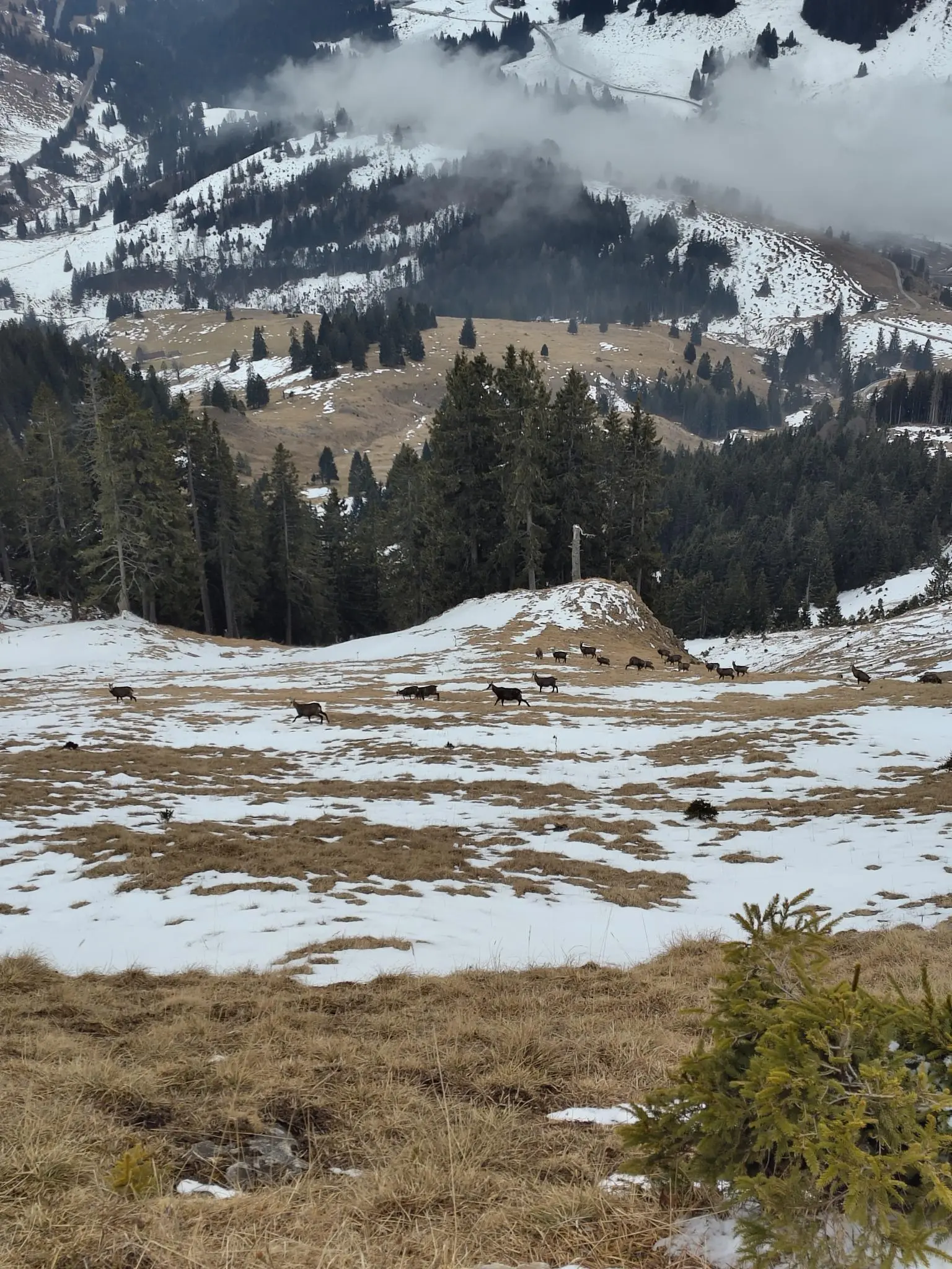 © DAV Sektion Rosenheim - Otto