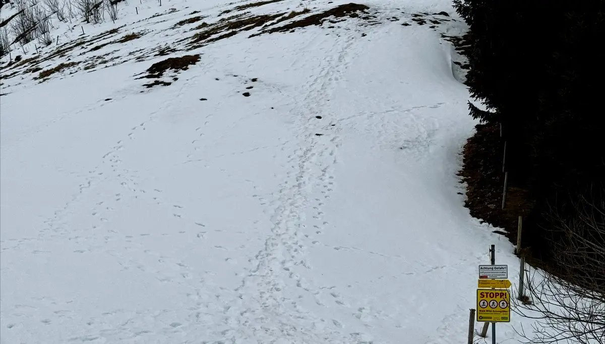 © DAV Sektion Rosenheim - Otto