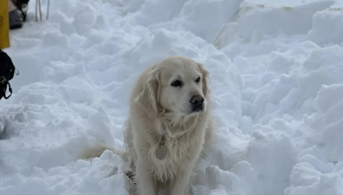 © DAV Sektion Rosenheim 