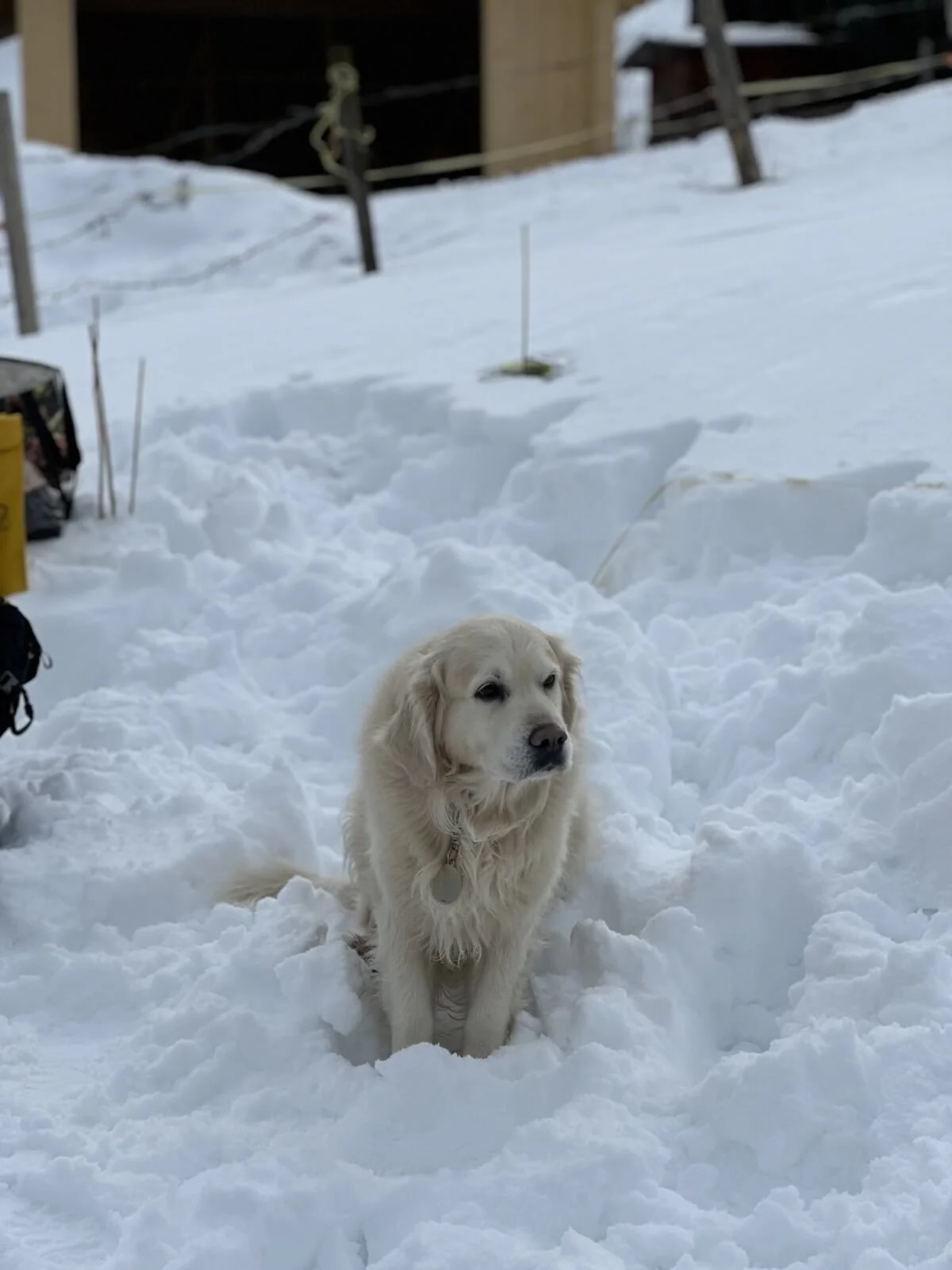 © DAV Sektion Rosenheim 