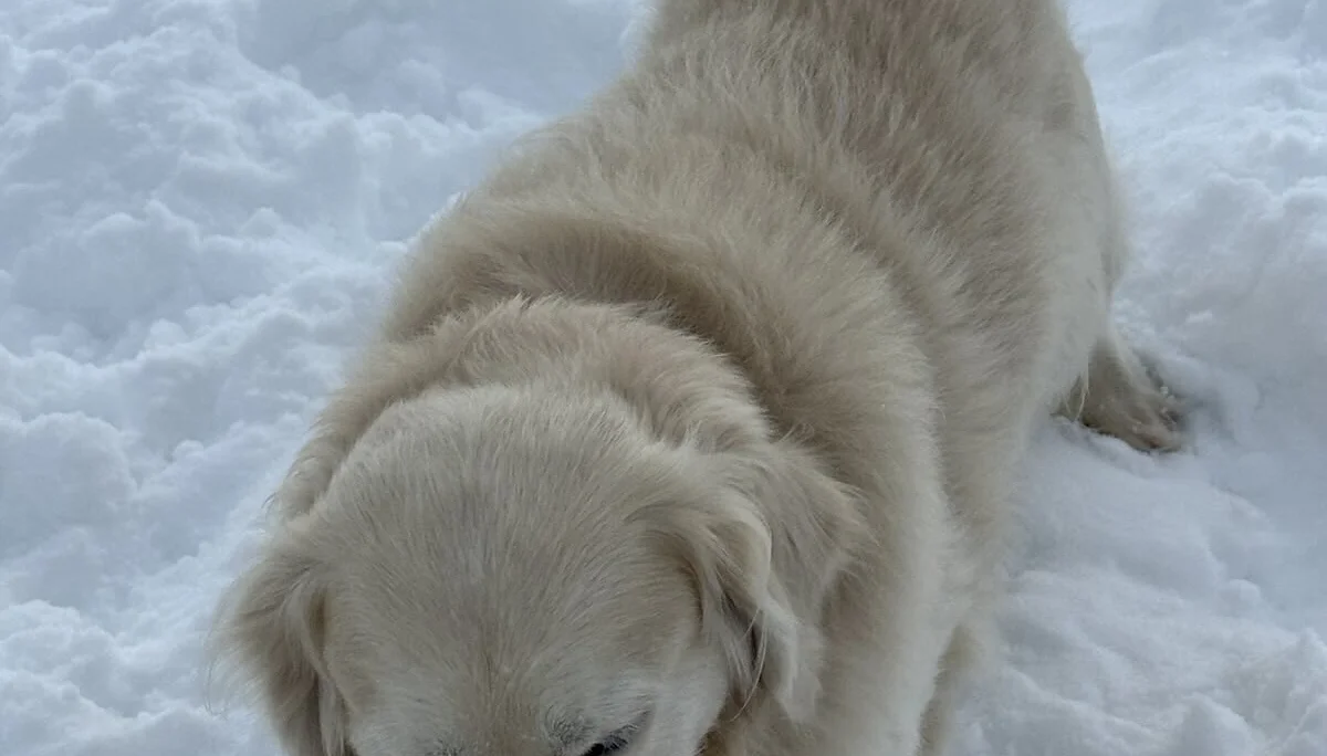 © DAV Sektion Rosenheim 