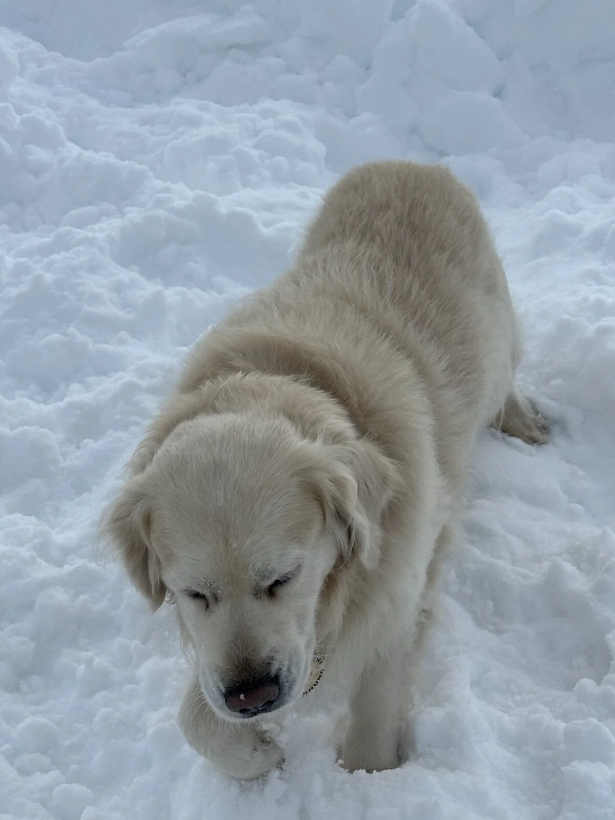 © DAV Sektion Rosenheim 