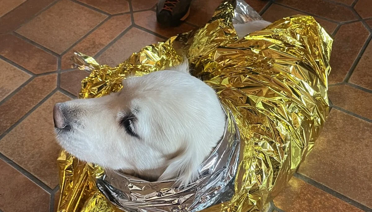 © DAV Sektion Rosenheim 