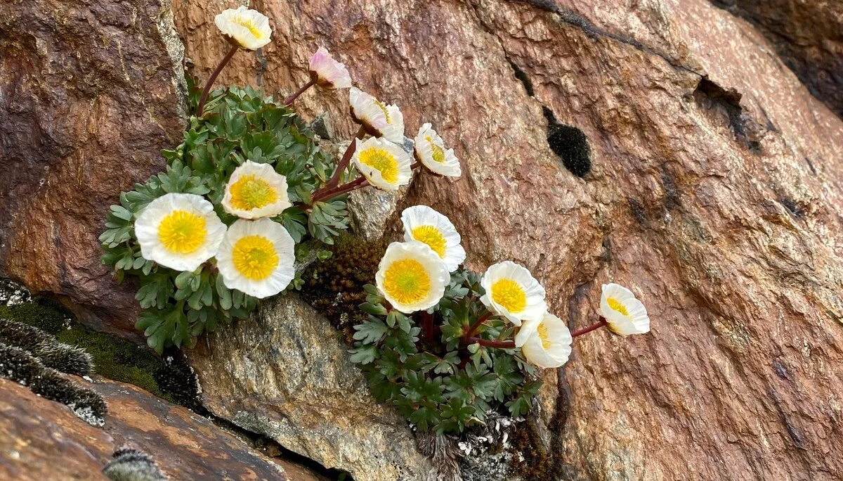 © DAV Sektion Rosenheim