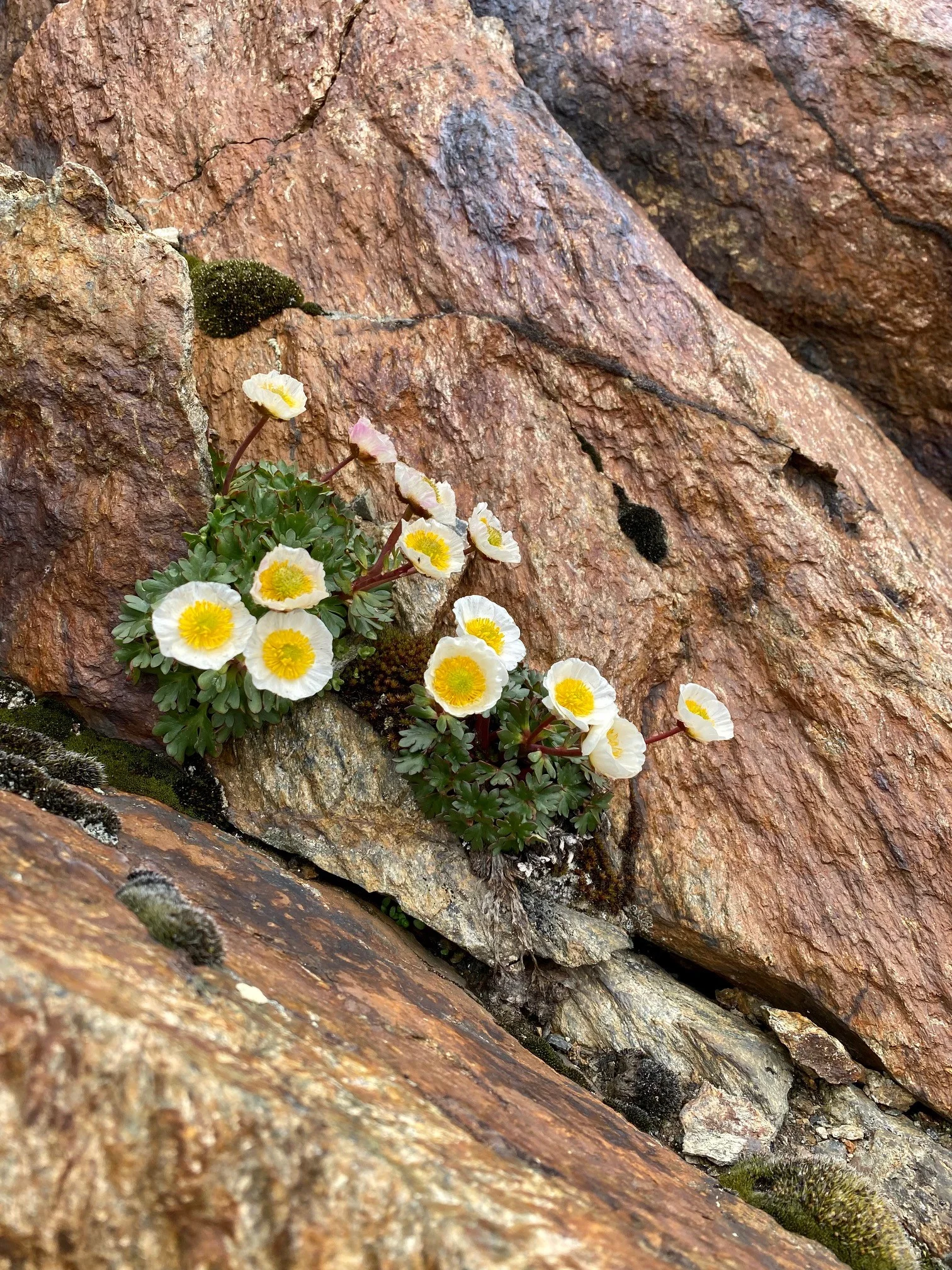 © DAV Sektion Rosenheim